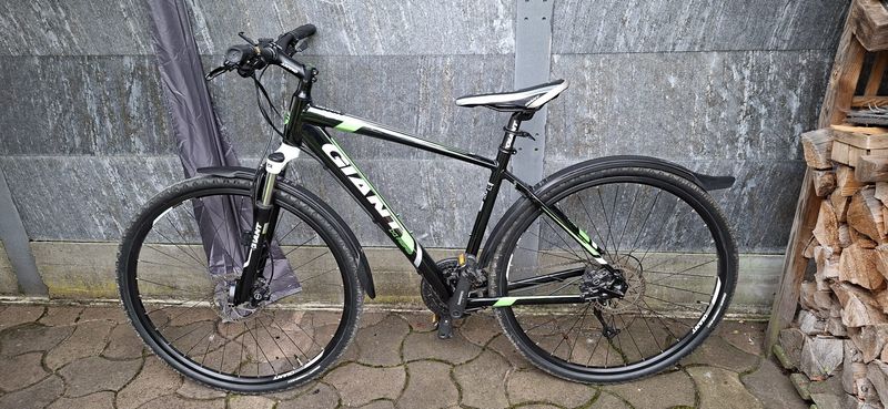 Tweedehands Giant Roam 2 Disc 2019 2019 Urban & Touring
