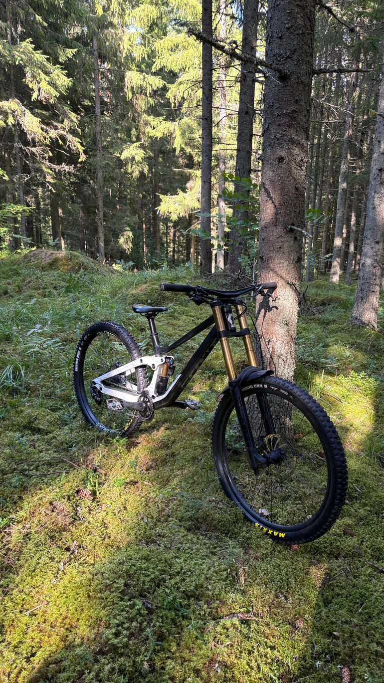 Scott Gambler 900 Tuned 2022