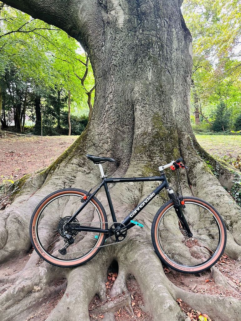Used Cannondale M900 CAD3 – $ 726 | buycycle