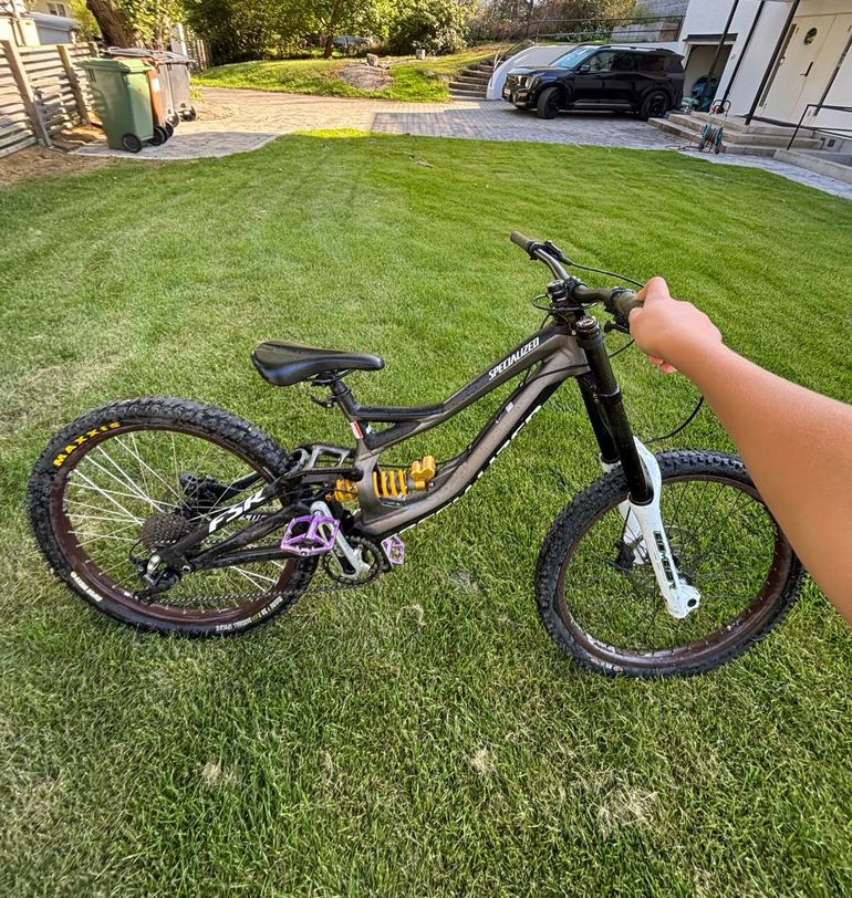 Specialized S-Works Demo 8 2018