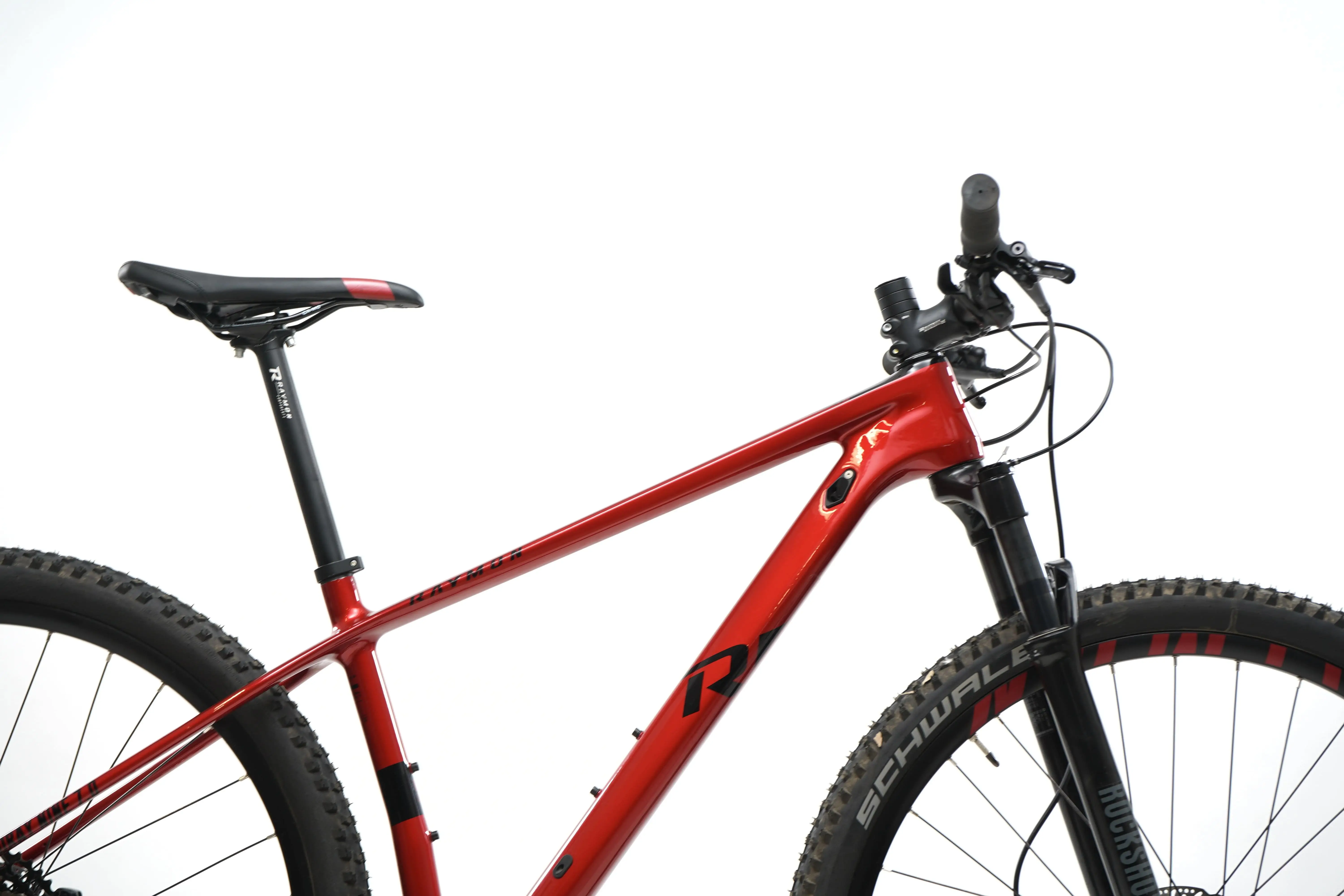 Raymon downhill hot sale bike