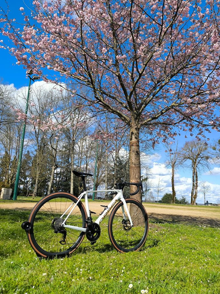 Orbea ORCA M10iLTD PWR 2025