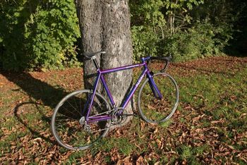 Used Klein Quantum pro 1995 Road & Gravel, shop.filter.color.800080 — image 10 of 20