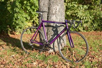 Used Klein Quantum pro 1995 Road & Gravel, shop.filter.color.800080 — image 18 of 20
