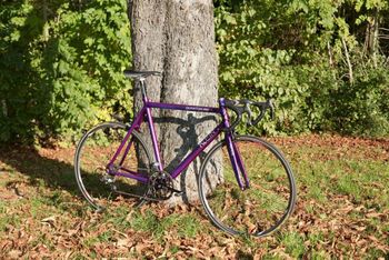 Used Klein Quantum pro 1995 Road & Gravel, shop.filter.color.800080 — image 17 of 20