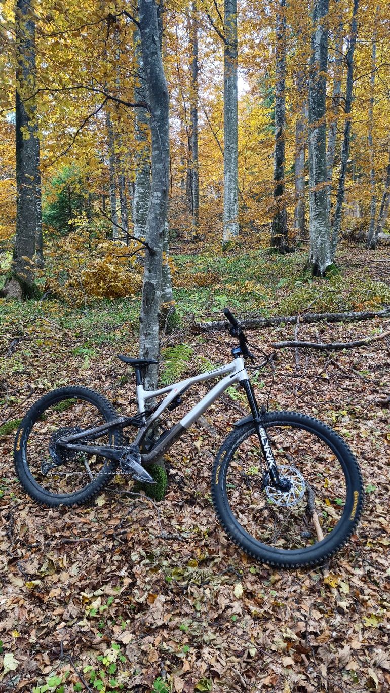 Specialized Stumpjumper EVO Elite Alloy 2022