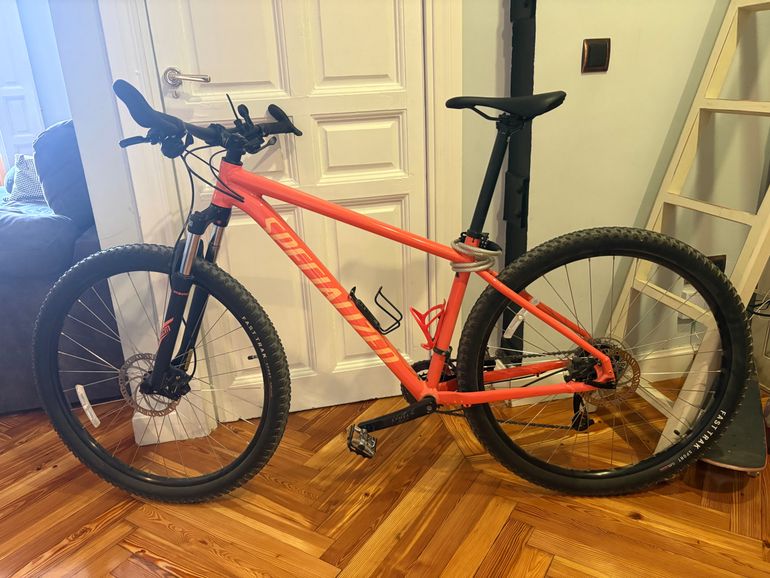Specialized Rockhopper Sport 2024