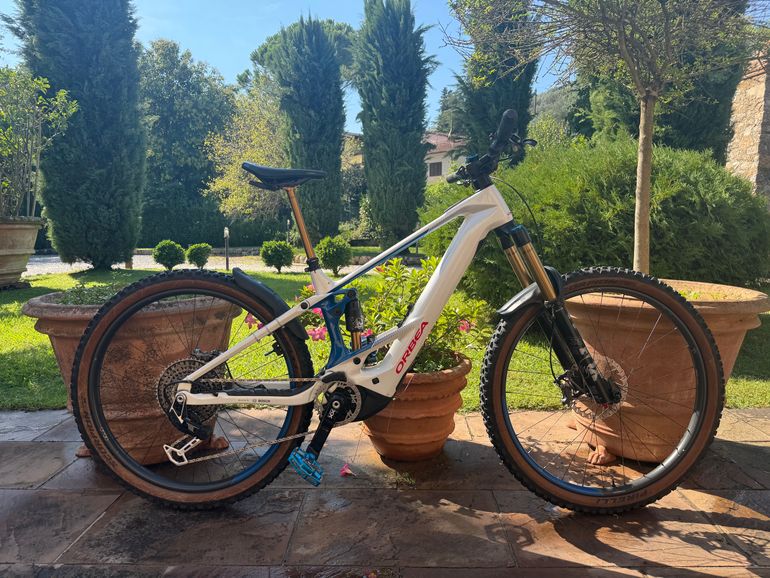 ORBEA WILD M-LTD 2025