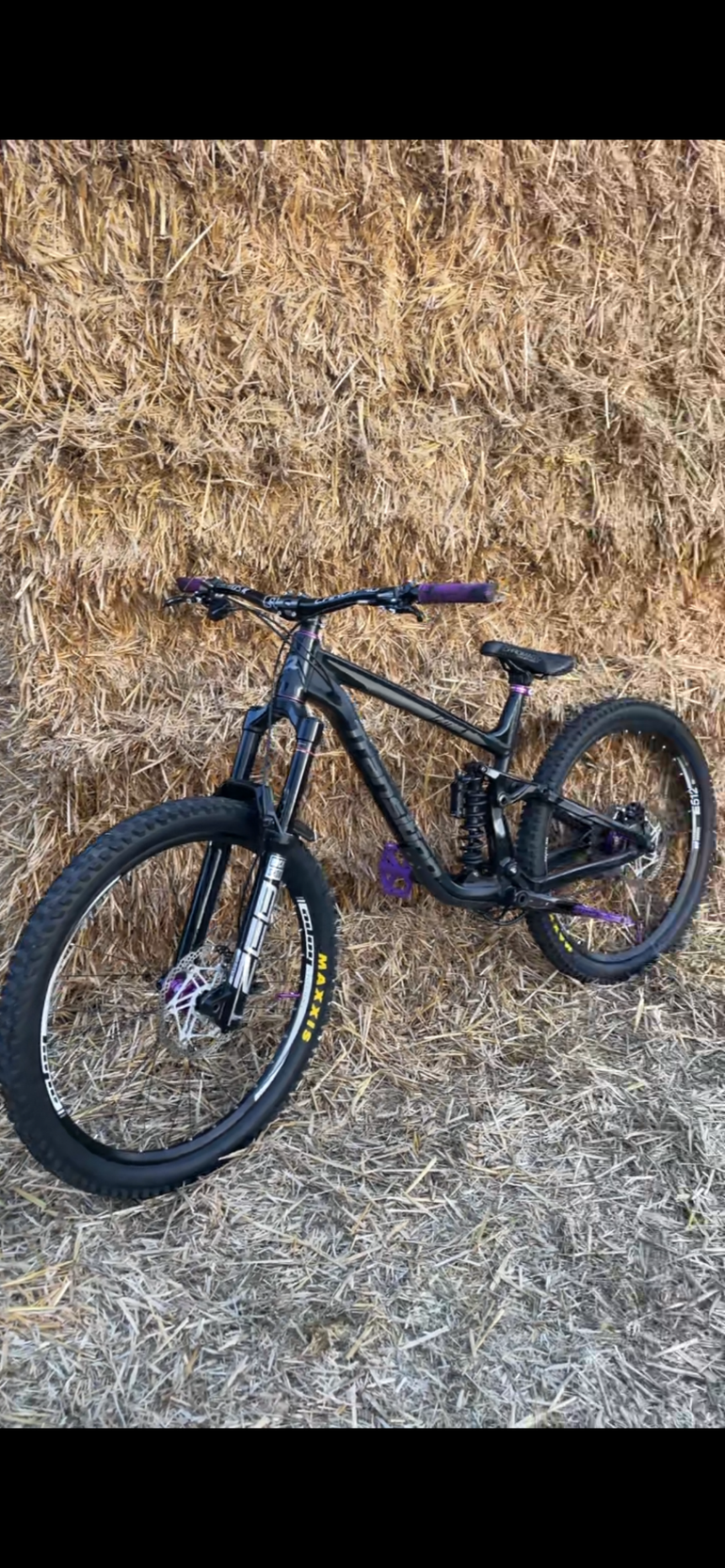 Transition Patrol GX Alloy Fox 2023
