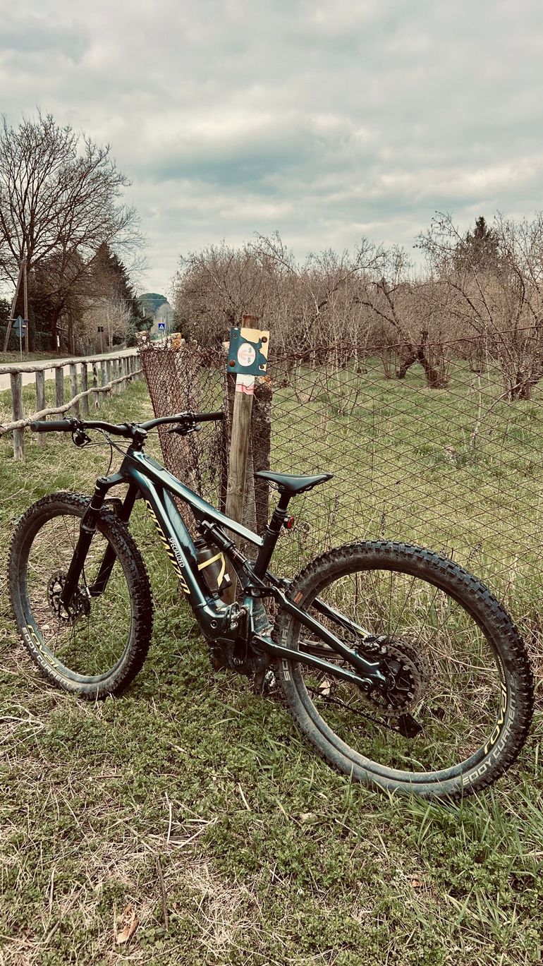 Specialized Men's Turbo Levo Comp 2019