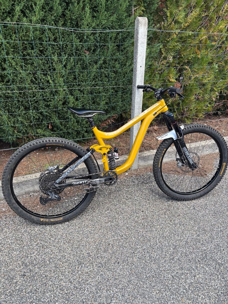 Giant Reign 2 2024