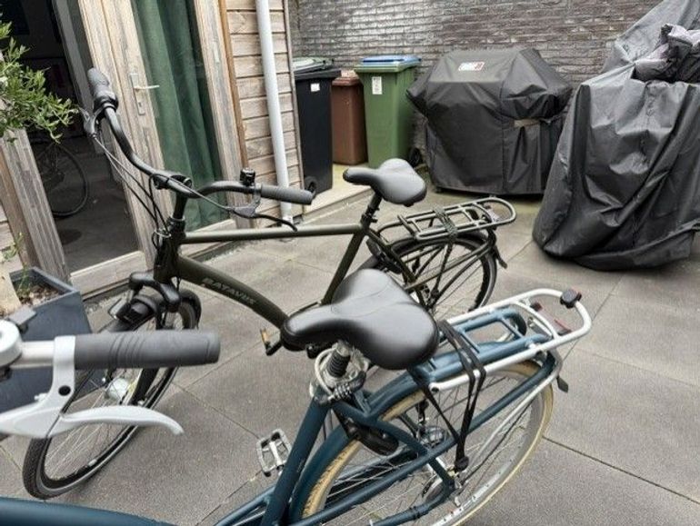 Batavus Mambo familiefiets 2024