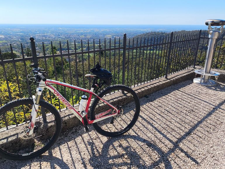 Specialized Stumpjumper EVO Expert 2022