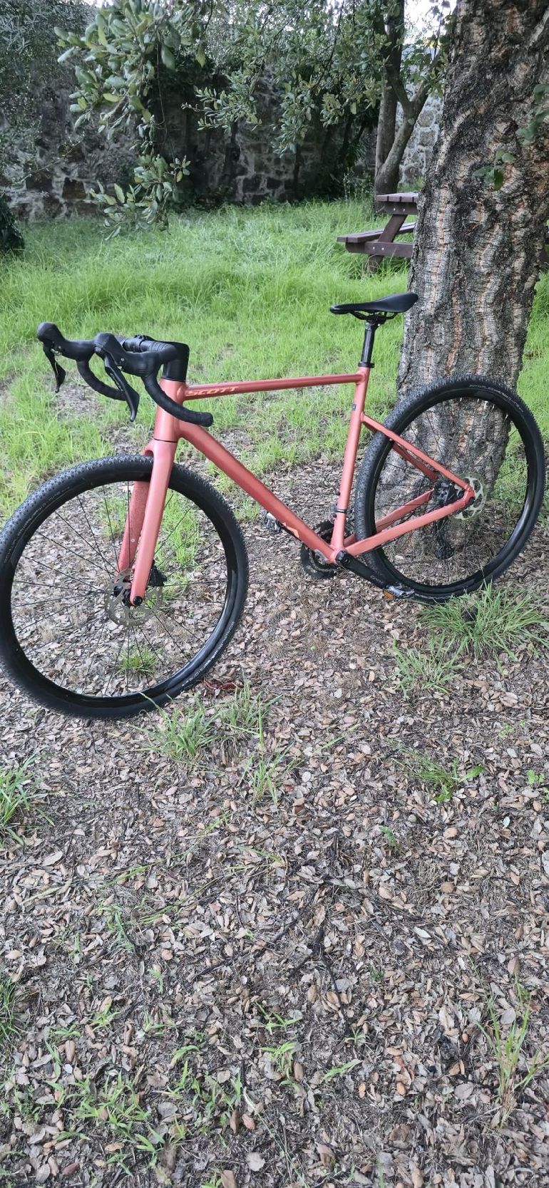 Scott Contessa Speedster 15 2023