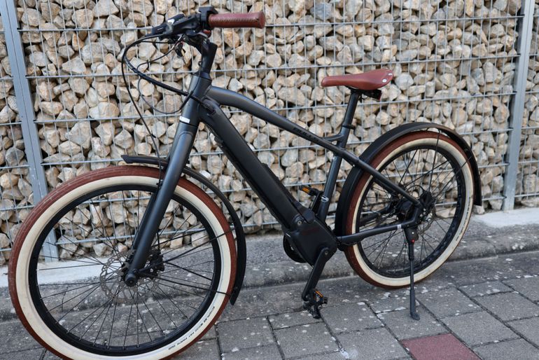 Bulls STURMVOGEL EVO 2025