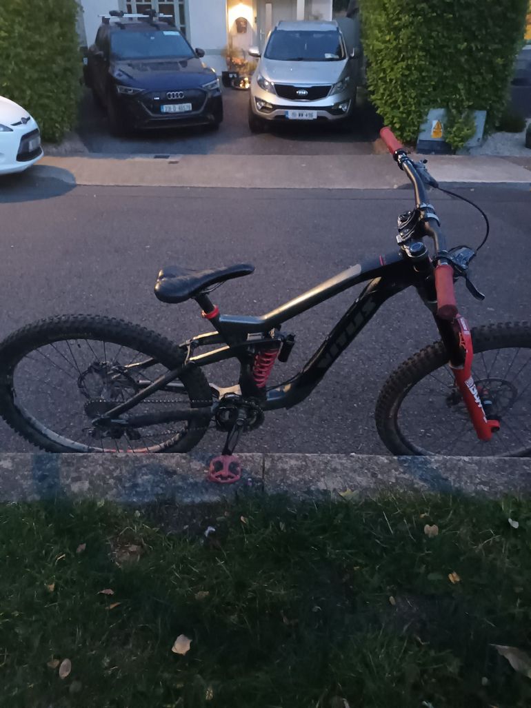Vitus Dominer Downhill Mountain 2021