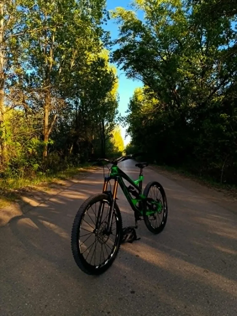 Yt Capra 29 CF Pro 2018