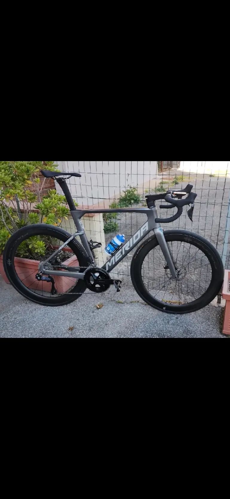 Merida REACTO 6000 2024