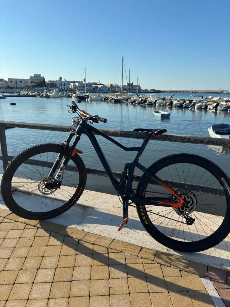 Scott Spark 960 2018