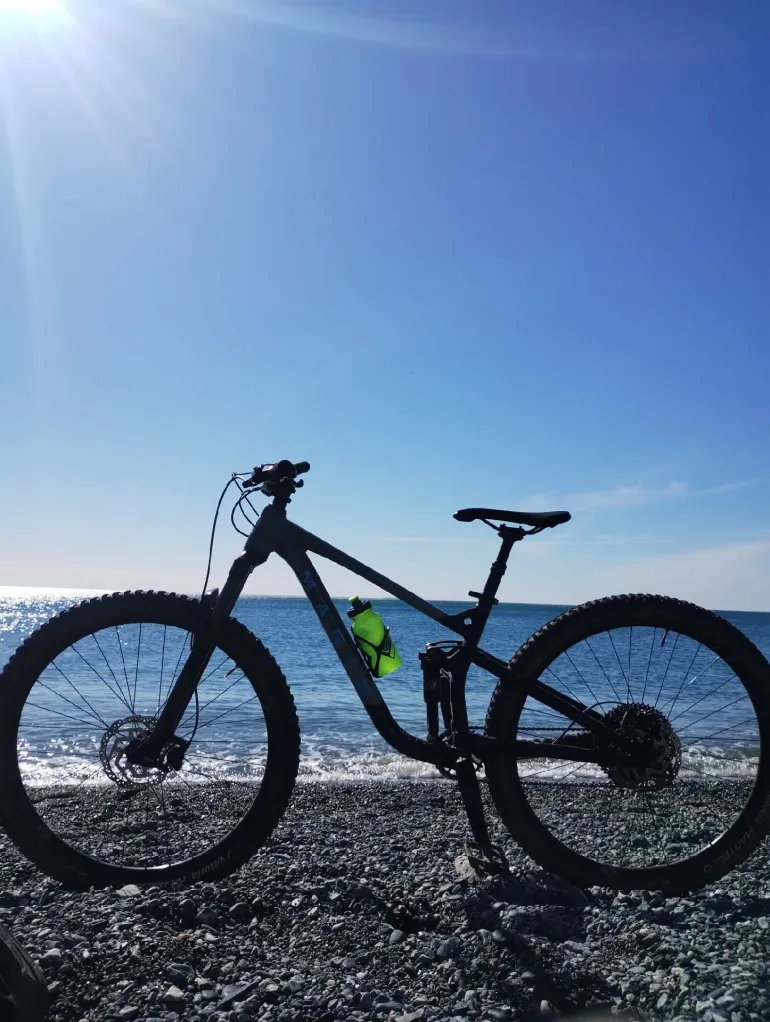 Marin Rift Zone 29" 1 2023