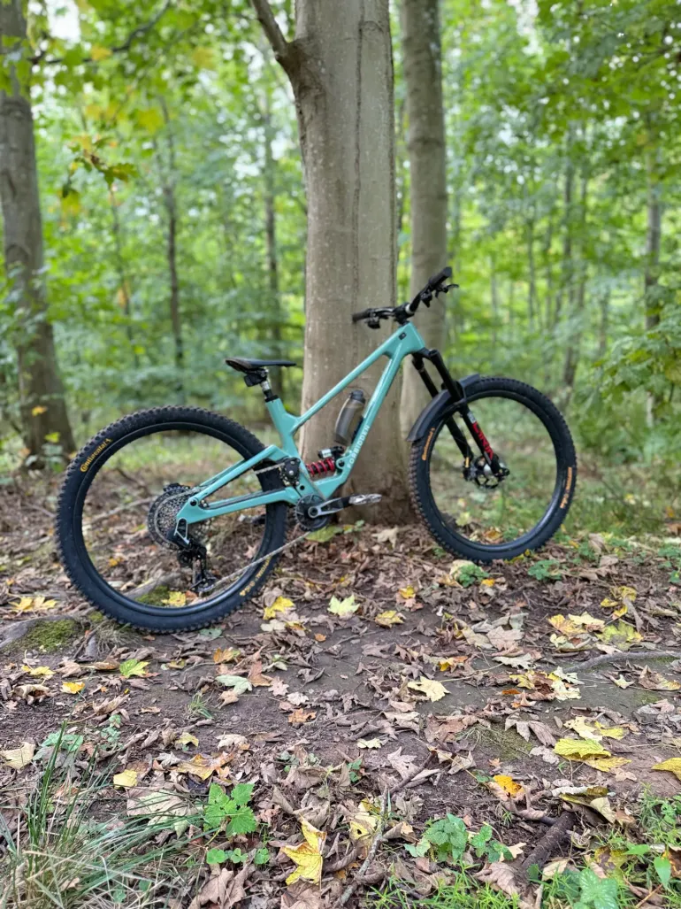 Forbidden Druid X0 RS U 29 2024