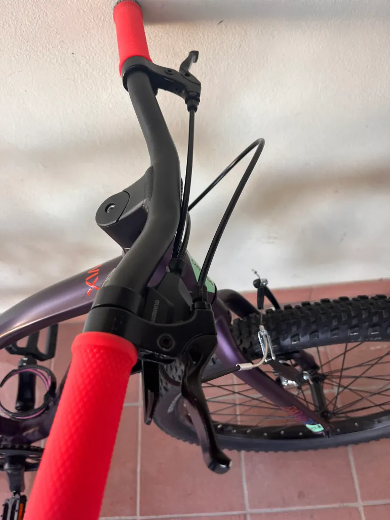 Orbea MX 24 XC 2019