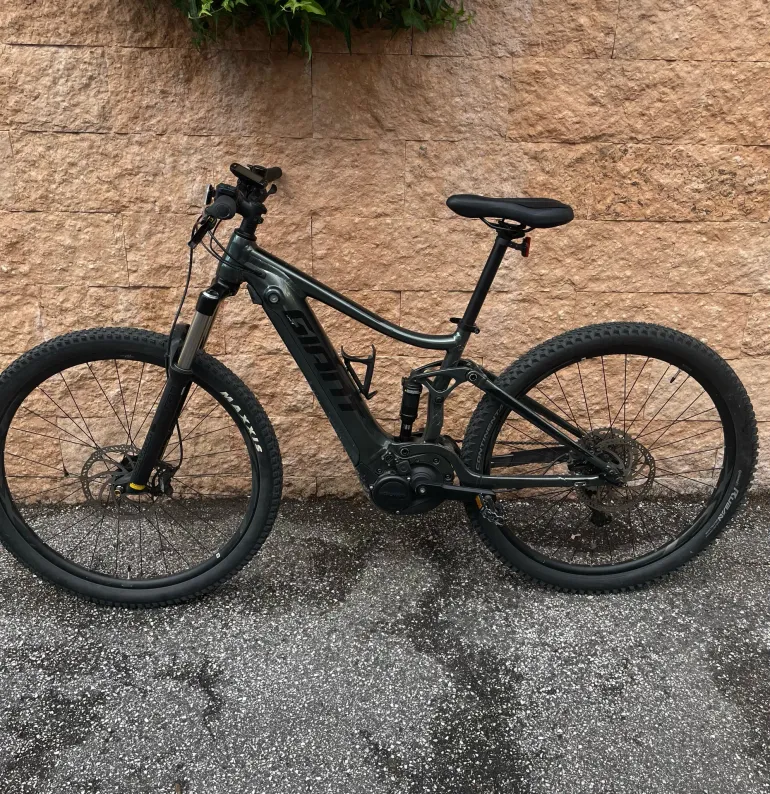 Giant Stance 29 2 2022
