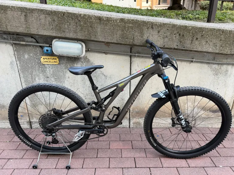 Specialized Stumpjumper EVO Comp Alloy 29 2020