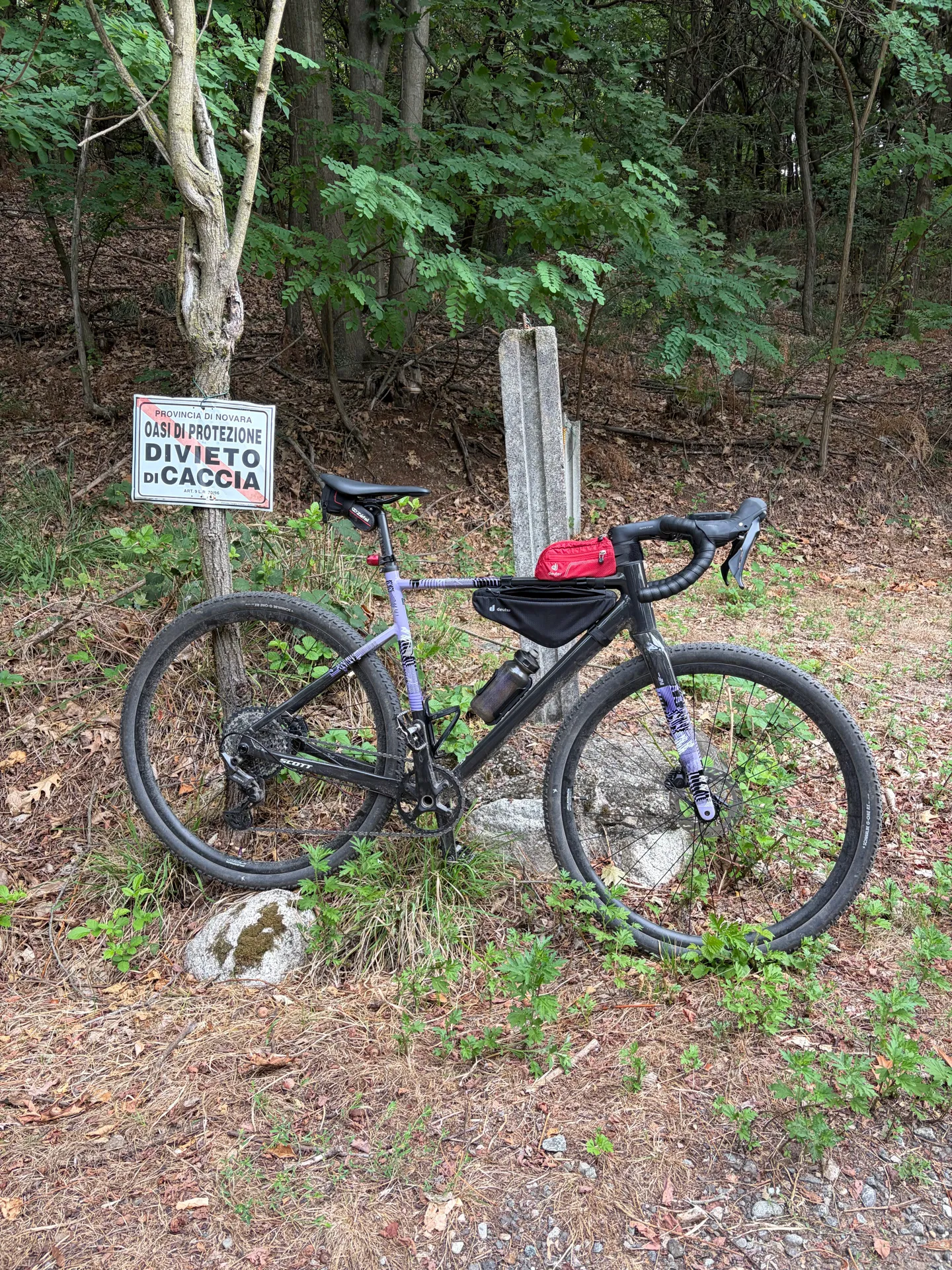 De segunda mano Scott Speedster Gravel 10 2026 – € 1.300 | buycycle