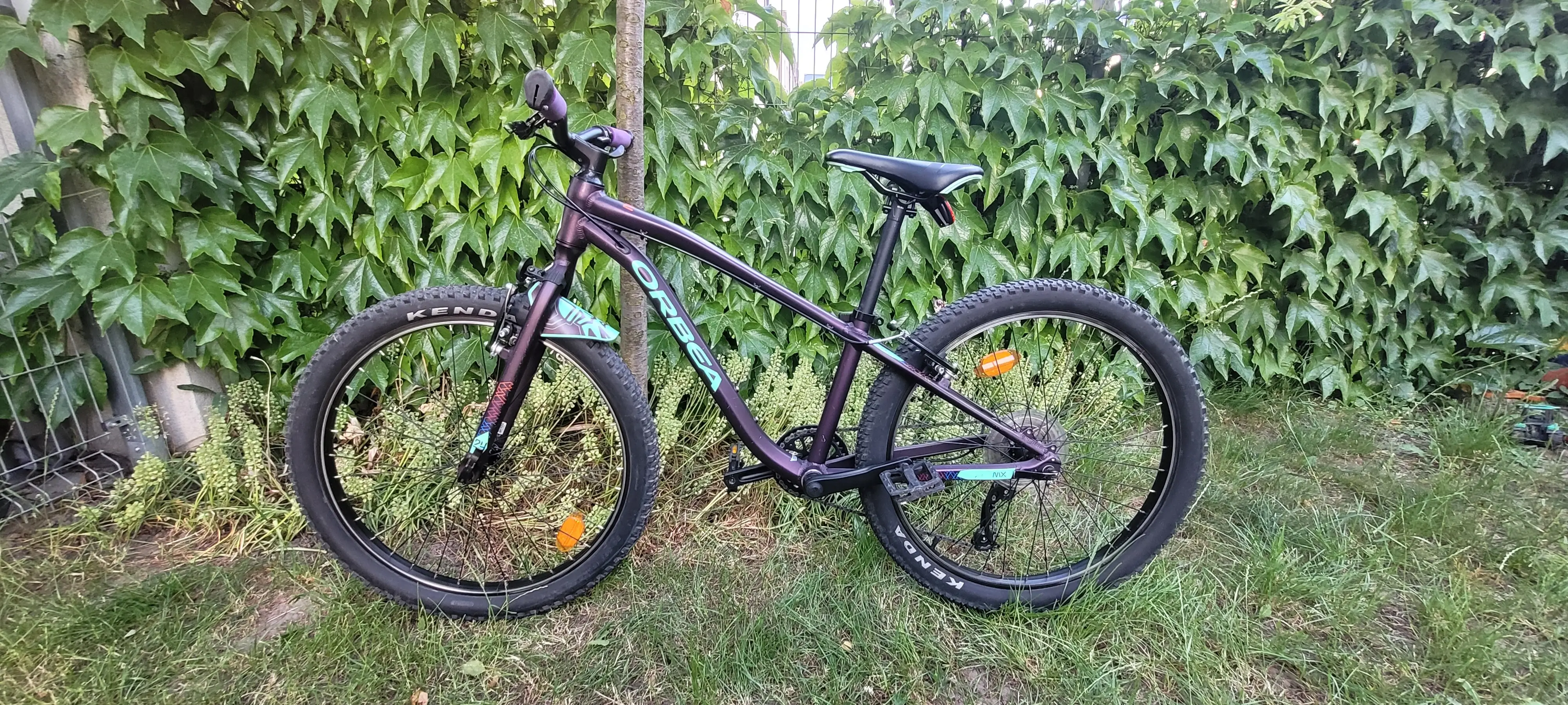 Orbea cheap trail 24