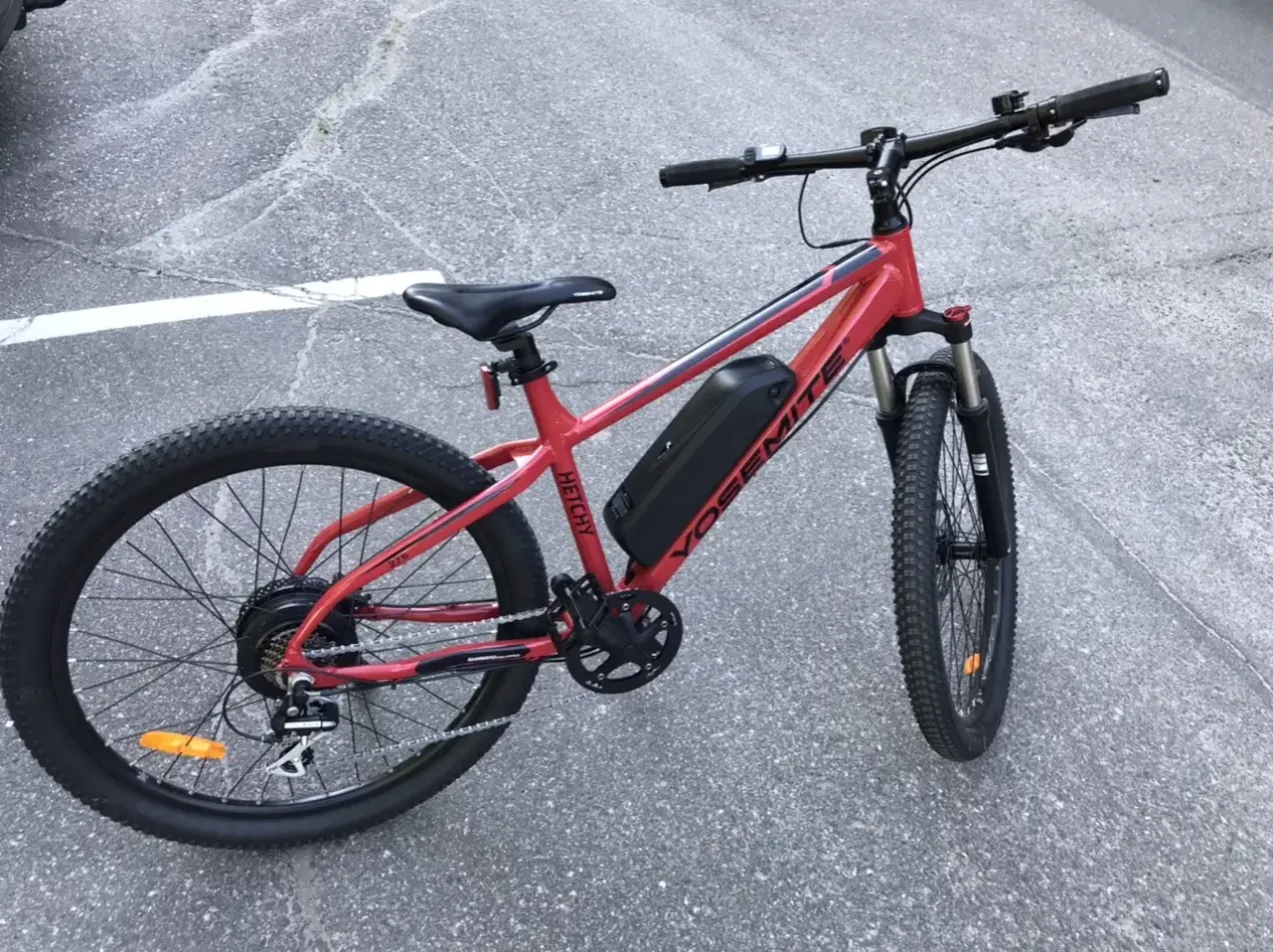 Custom Electric Bike 27 5