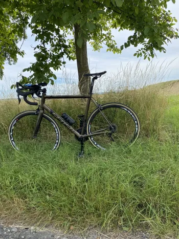 Used Sensa Sensa Modena LTD 2019 Road & Gravel, Orange — image 3 of 4