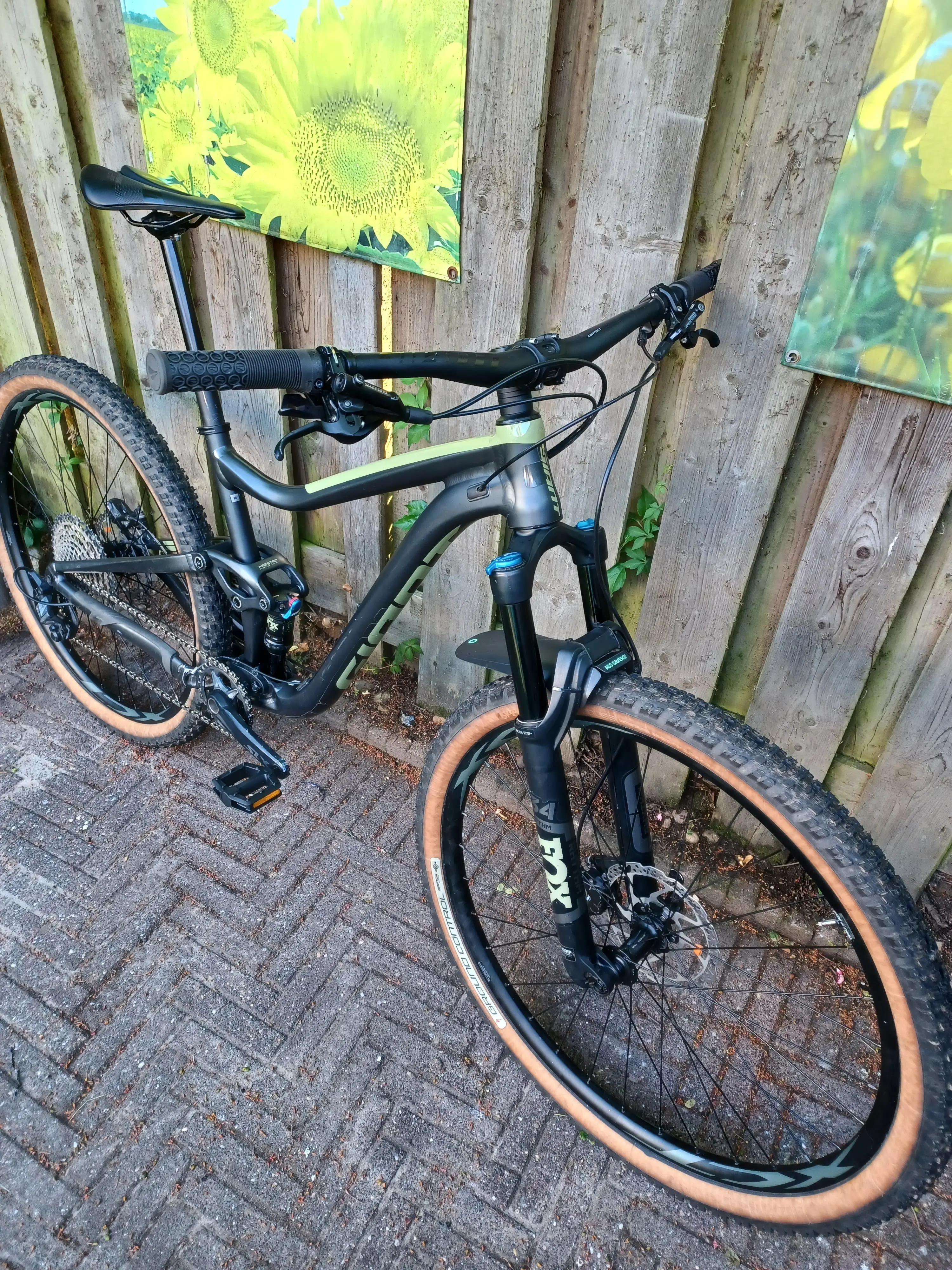 Trance 2 hot sale 29er 2020