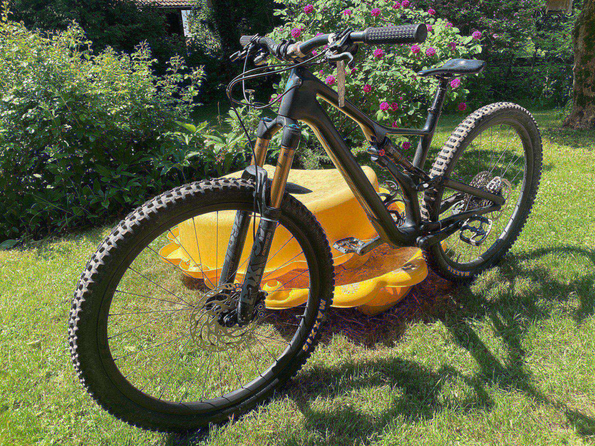 Stumpjumper s works 2019 hot sale