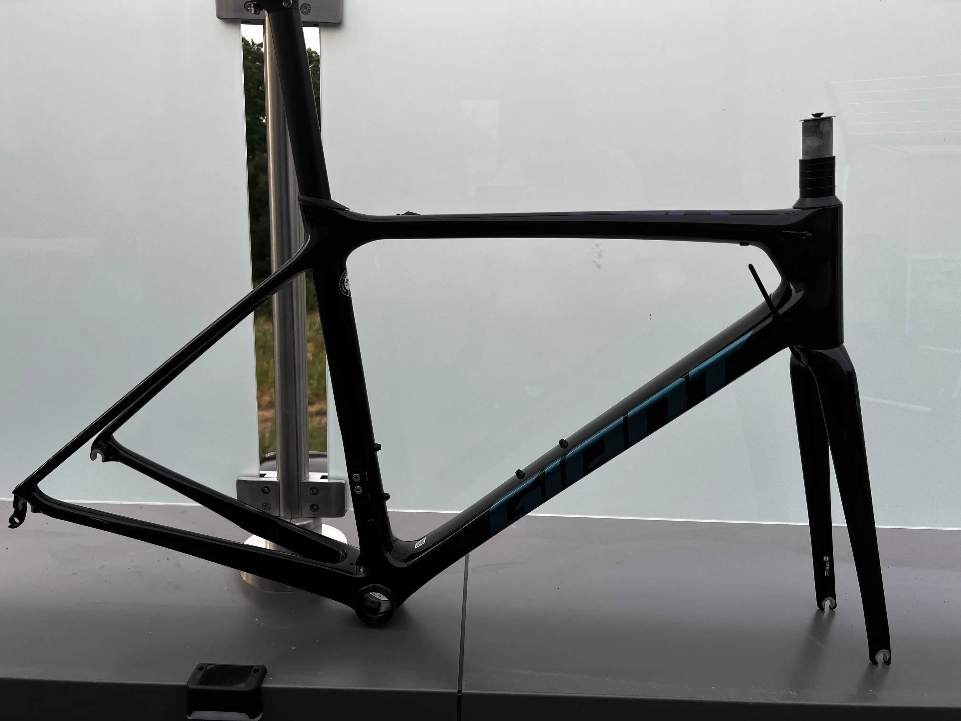 Giant tcr advanced pro best sale 2020 frameset