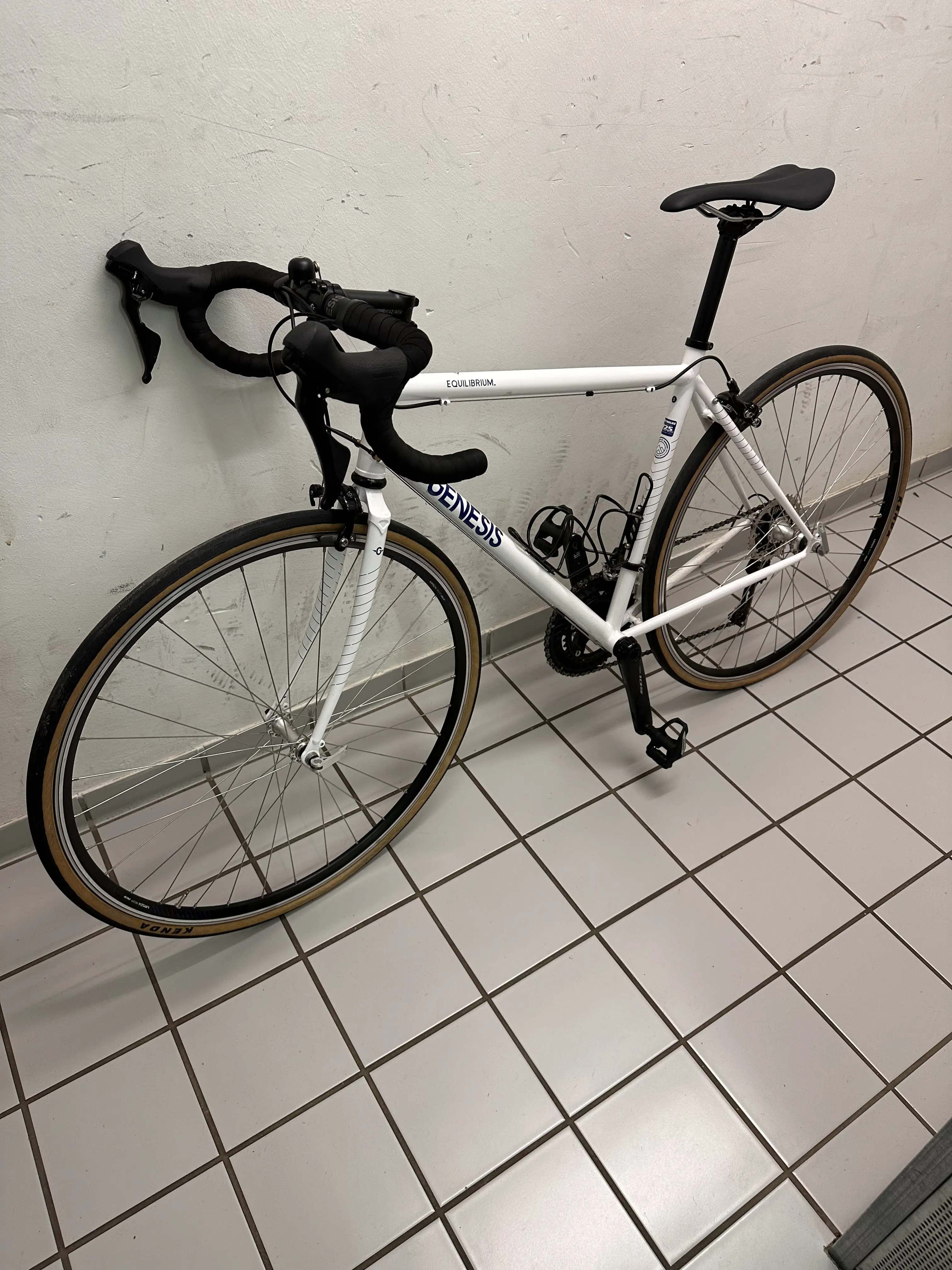 Velo best sale genesis equilibrium