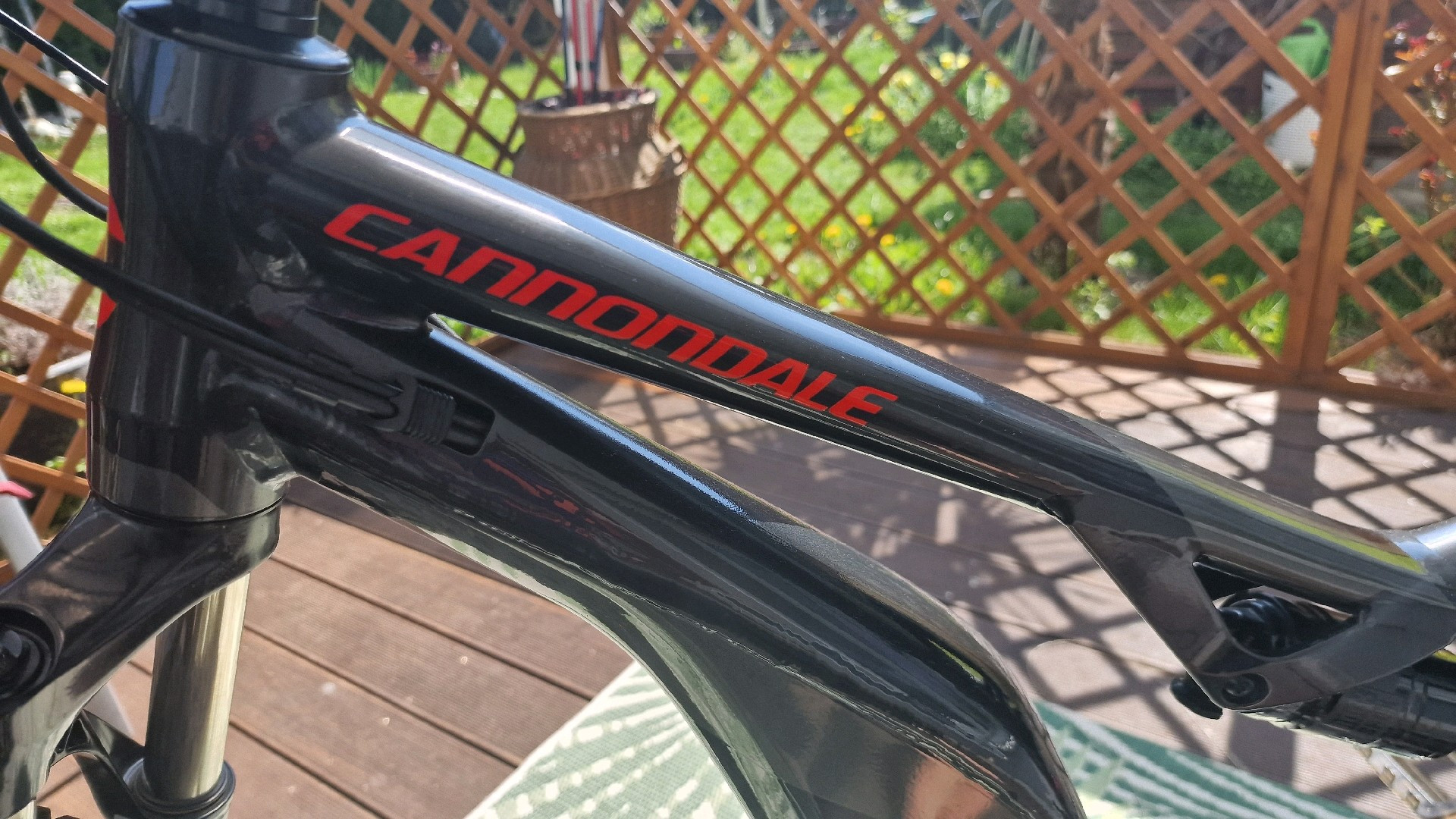 Cannondale Moterra used in L buycycle