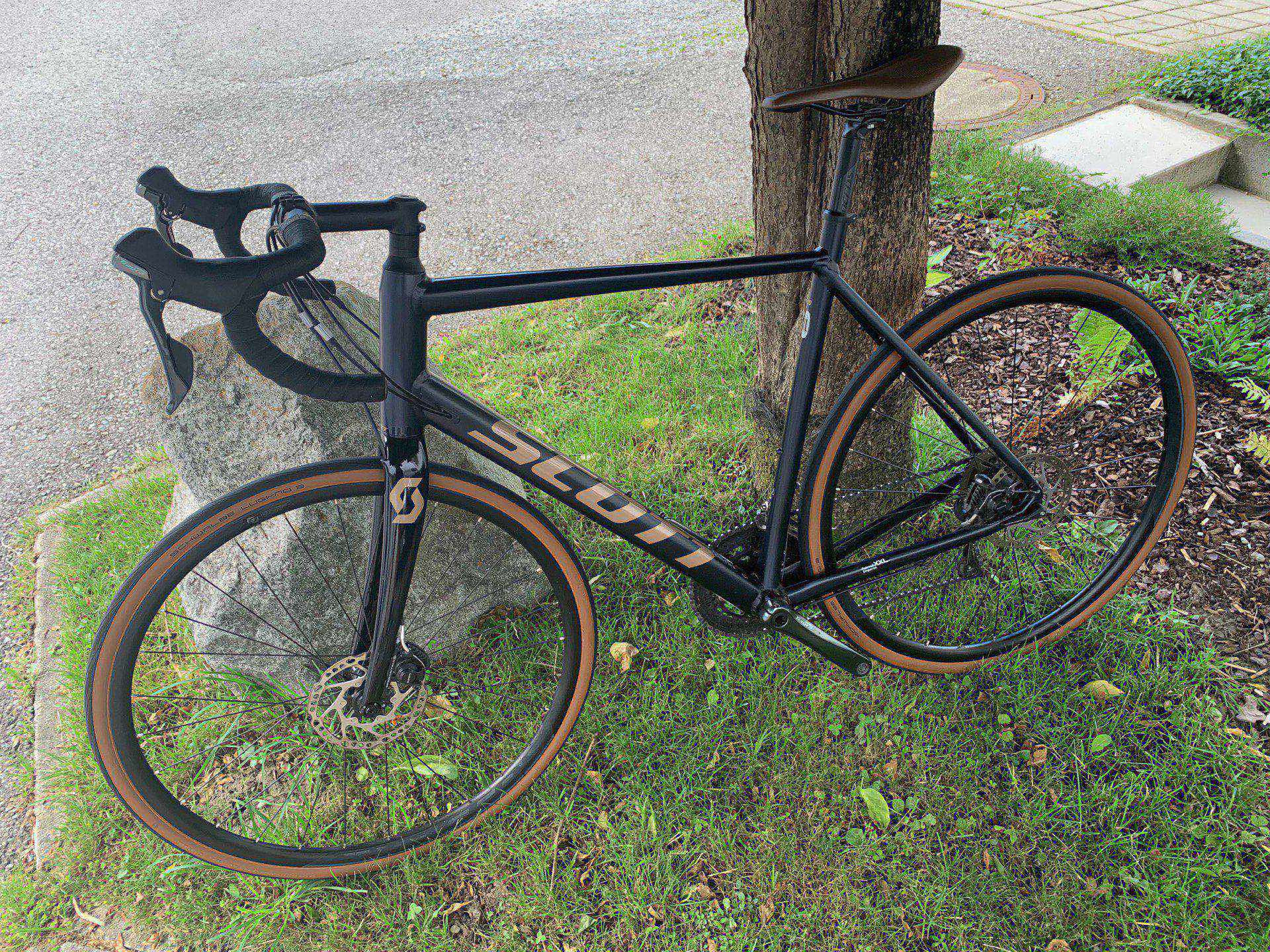 Scott speedster 20 disc 2024 bike