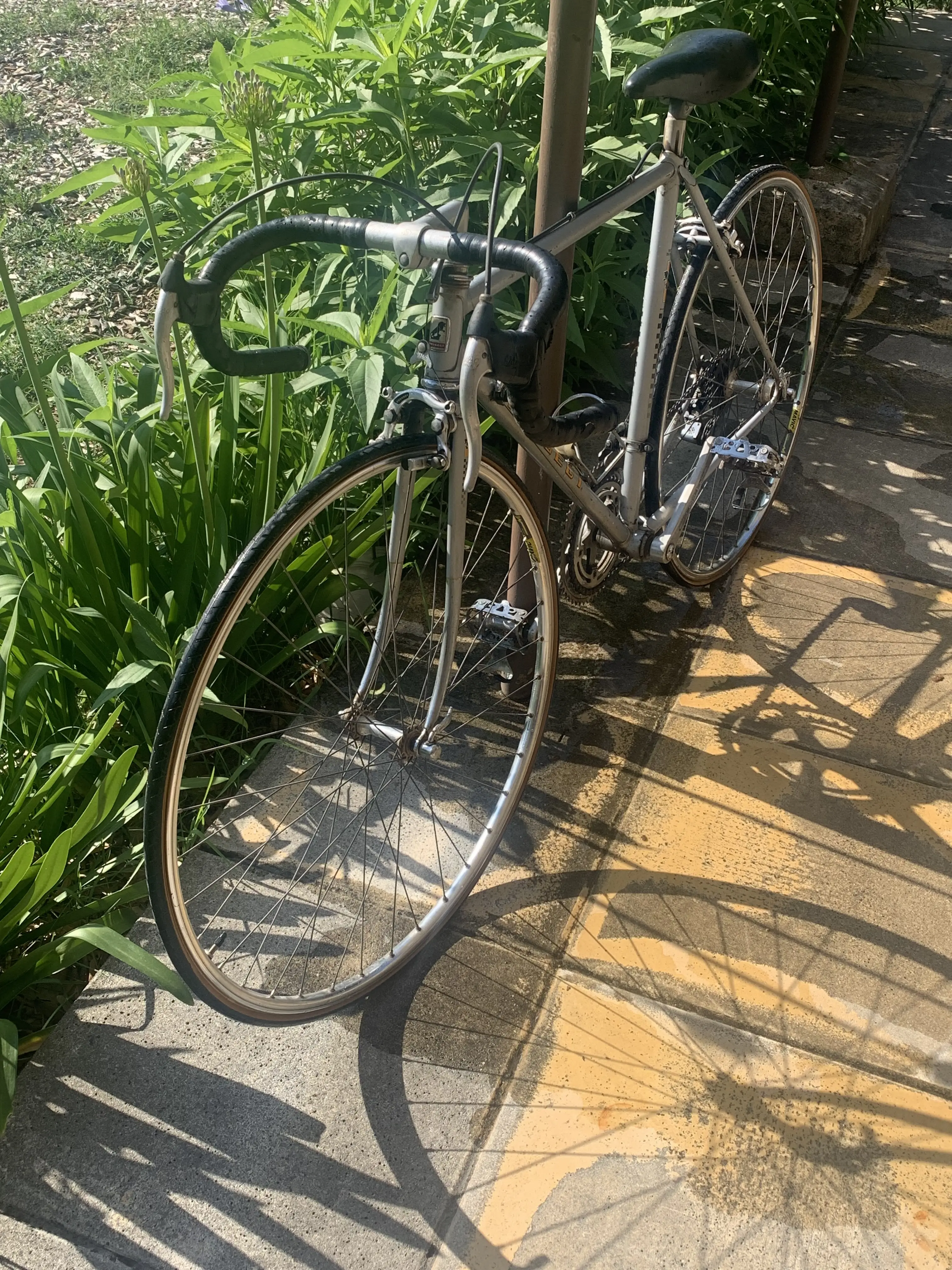 1976 store peugeot bicycle