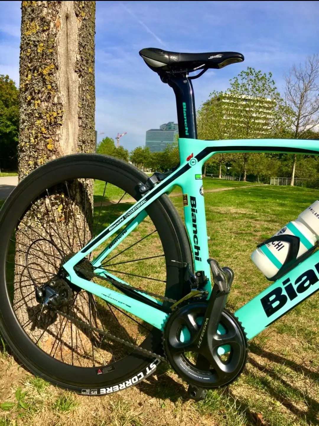 Bianchi Oltre XR4 CV Ultegra used in 55 cm buycycle USA