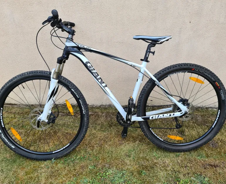 Giant Talon 29er 2 used in L buycycle