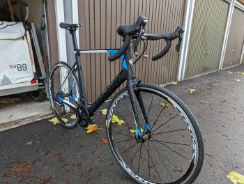 Used Carver Syn 120 Diamant 2018 Road & Gravel — image 2 of 8