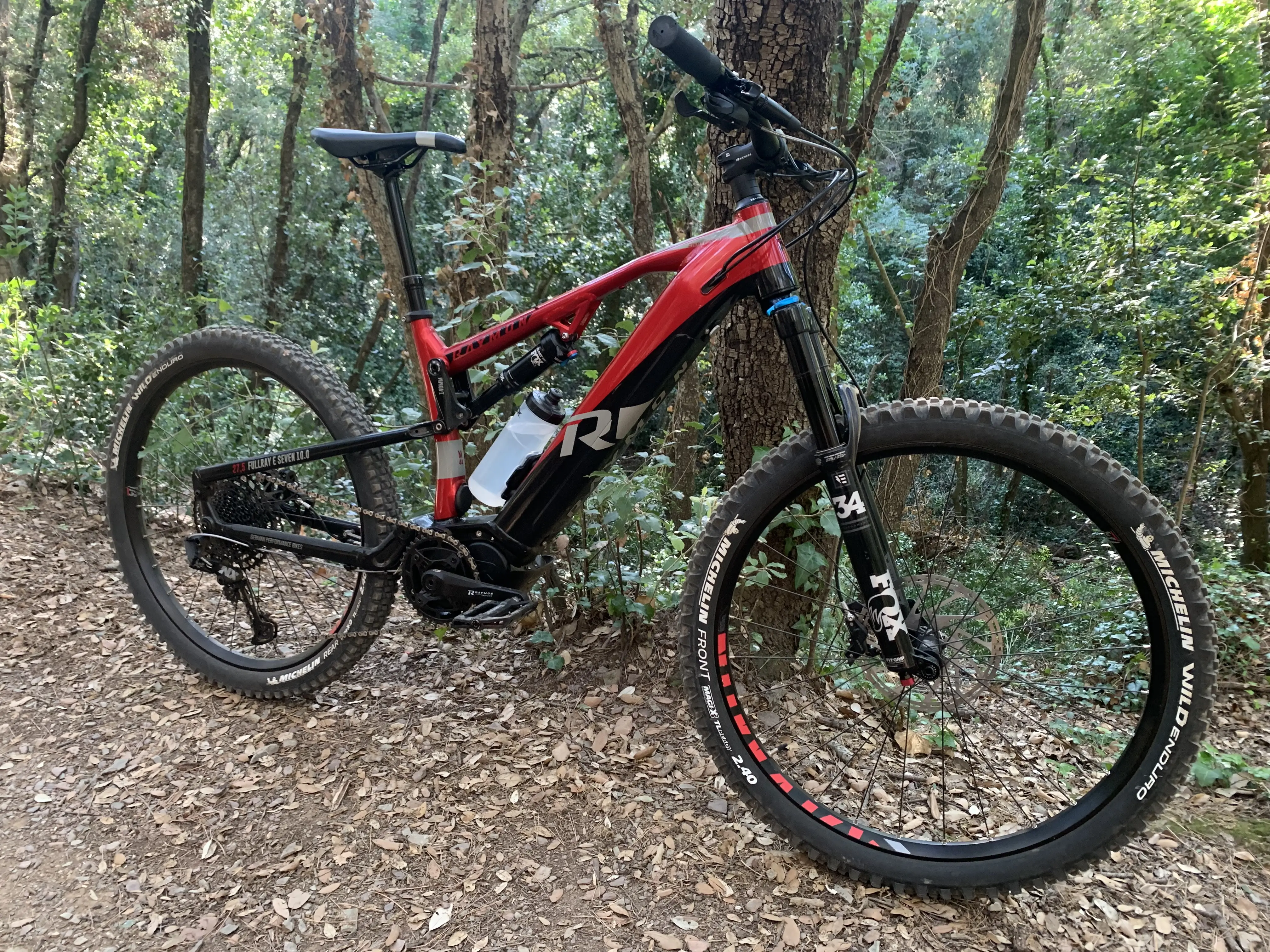 Raymon best sale downhill bike