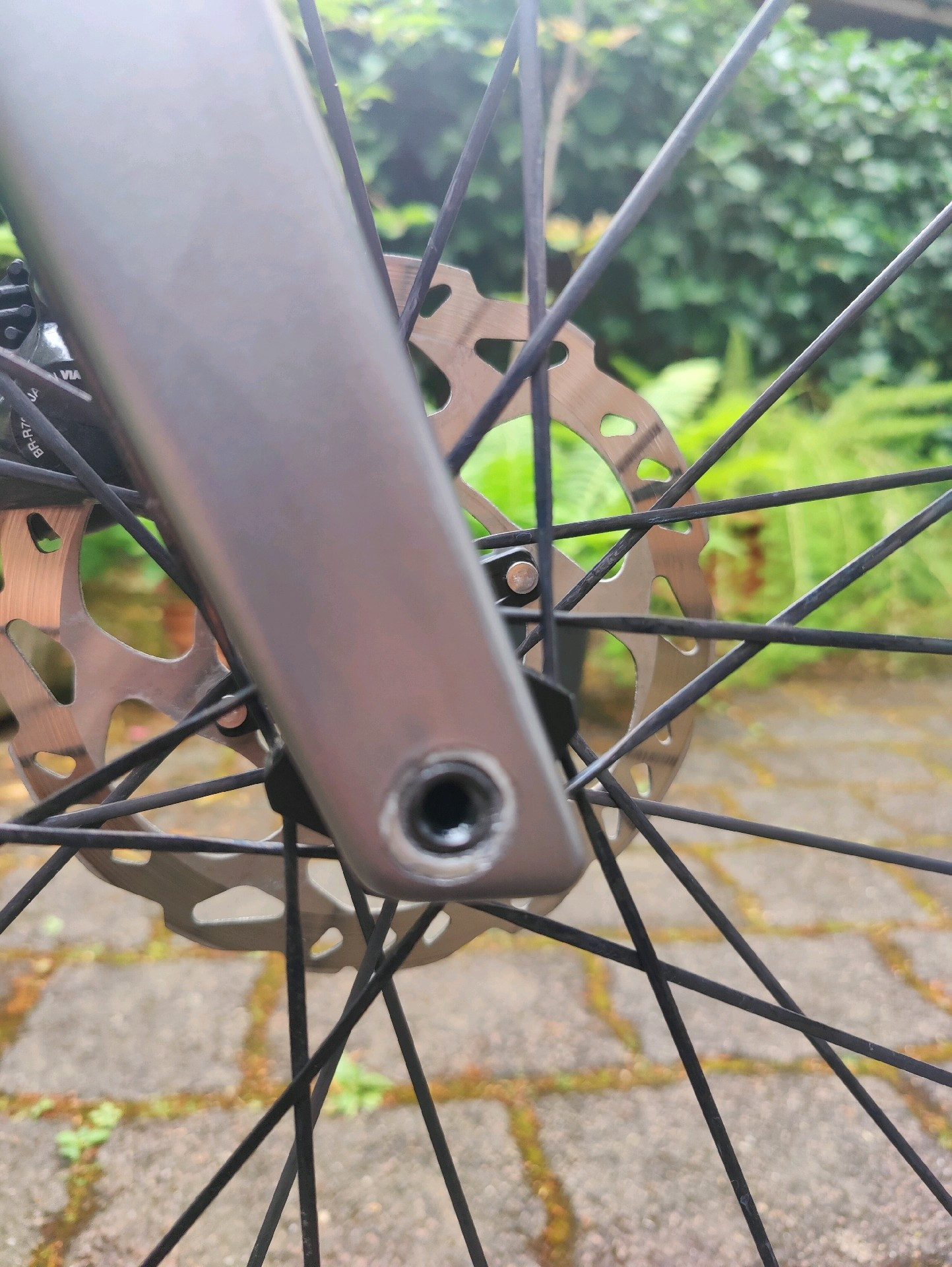 rose pro sl disc 105
