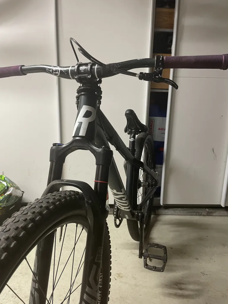 Used Rose THE BRUCE 2 2021 Mountainbike, Hellgrau — image 3 of 3