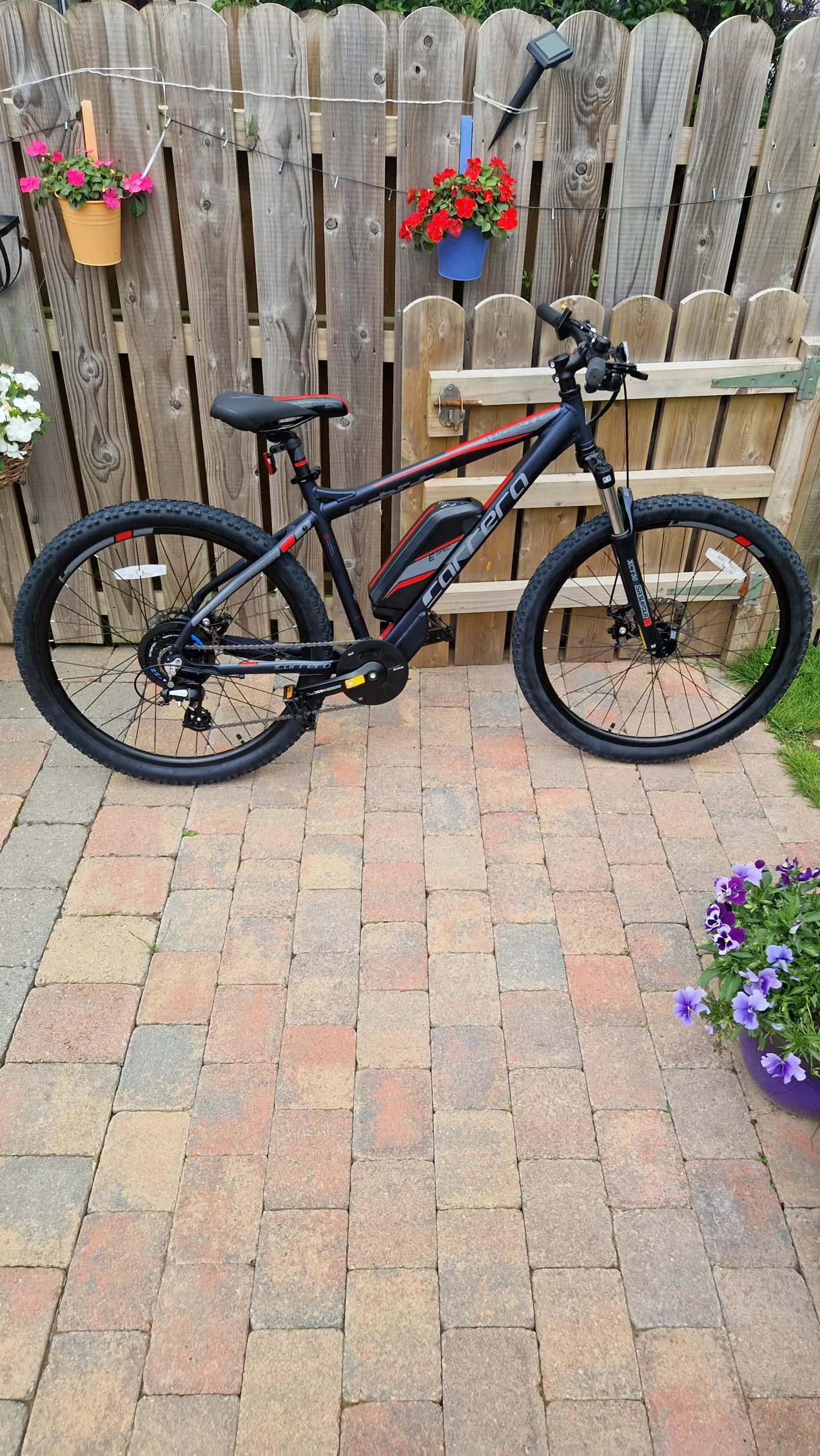 Electric carrera best sale mountain bike