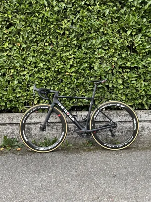 De Rosa - Merak, 2021