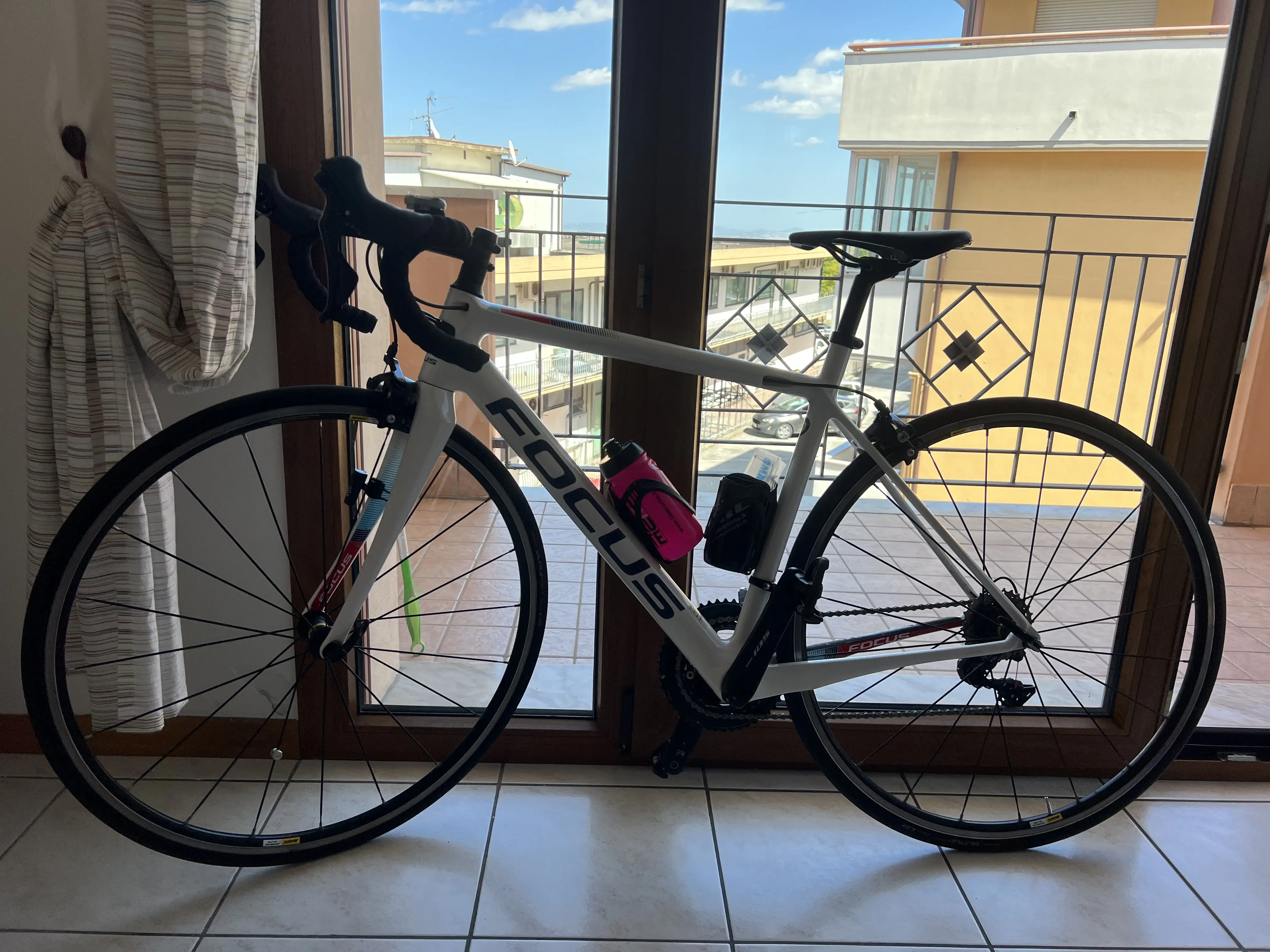 Focus izalco 9.7 sales 2019