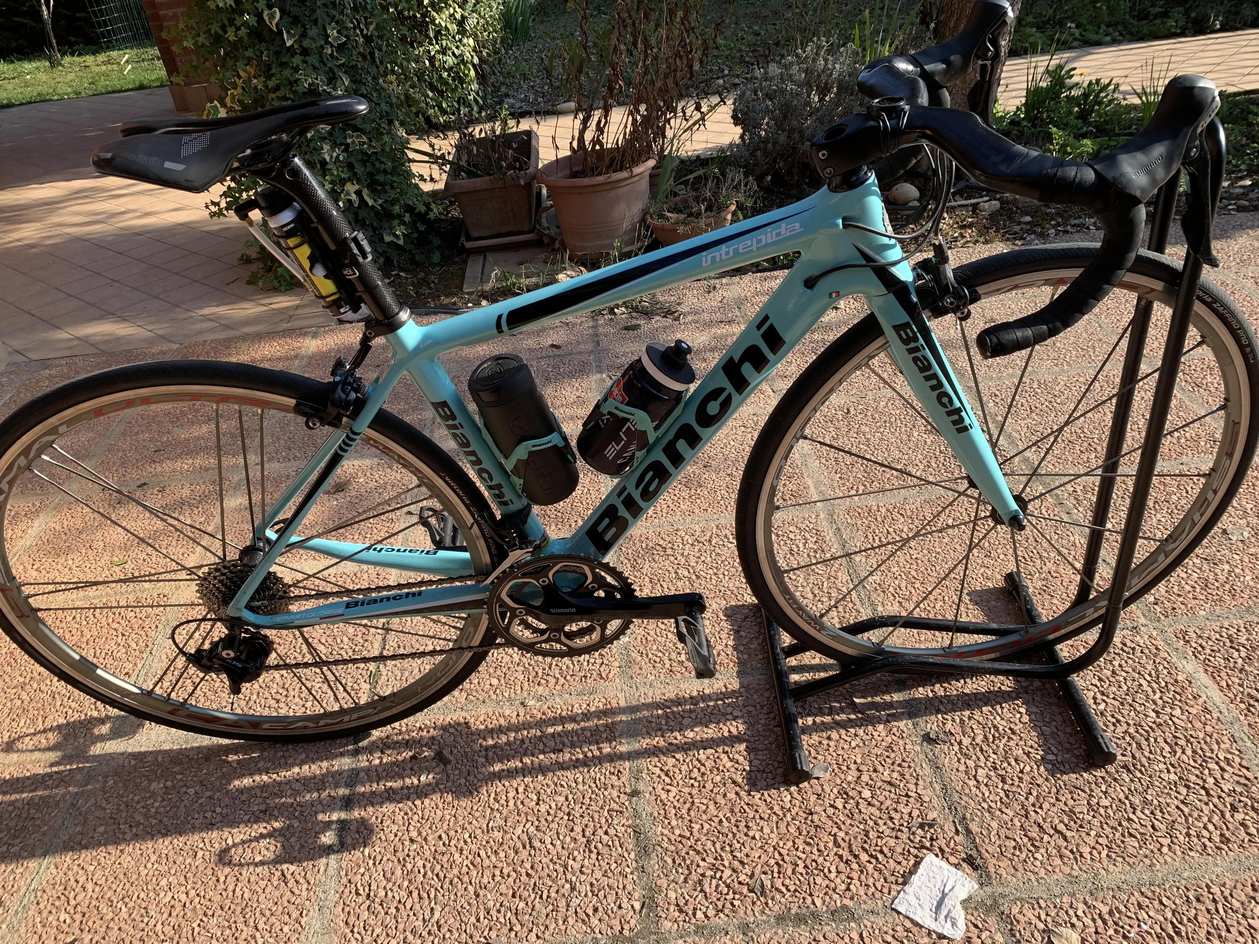 Bianchi intrepida 2024 ultegra