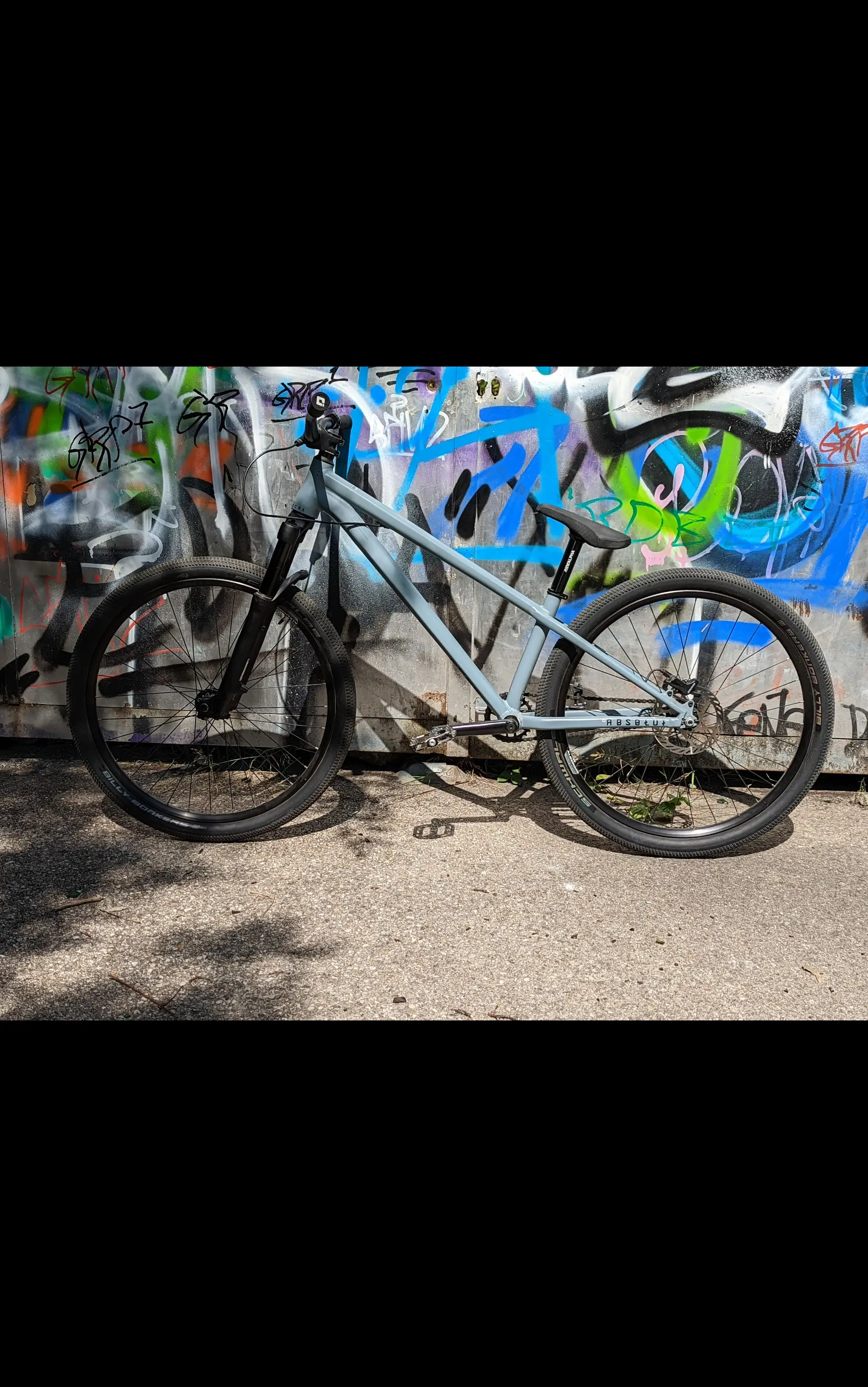 Commencal ABSOLUT MAXXIS used in LG buycycle